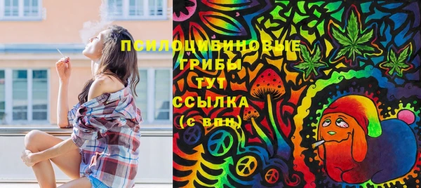 тгк Балахна