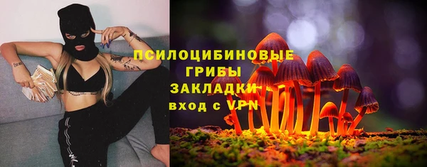 тгк Балабаново