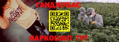 стафф Камышлов