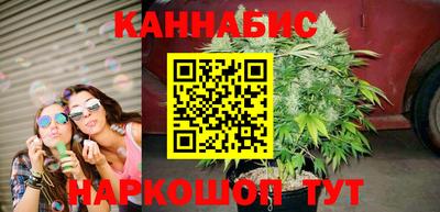стафф Камышлов