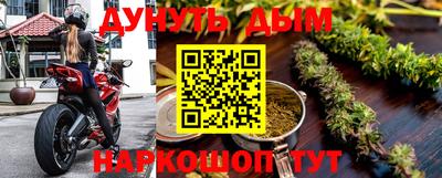 стафф Камышлов