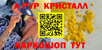 стафф Камышлов